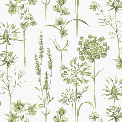 Graham & Brown Botanical Wildflowers Wallpaper