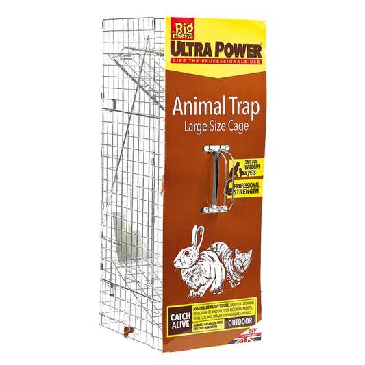 The Big Cheese Animal Trap