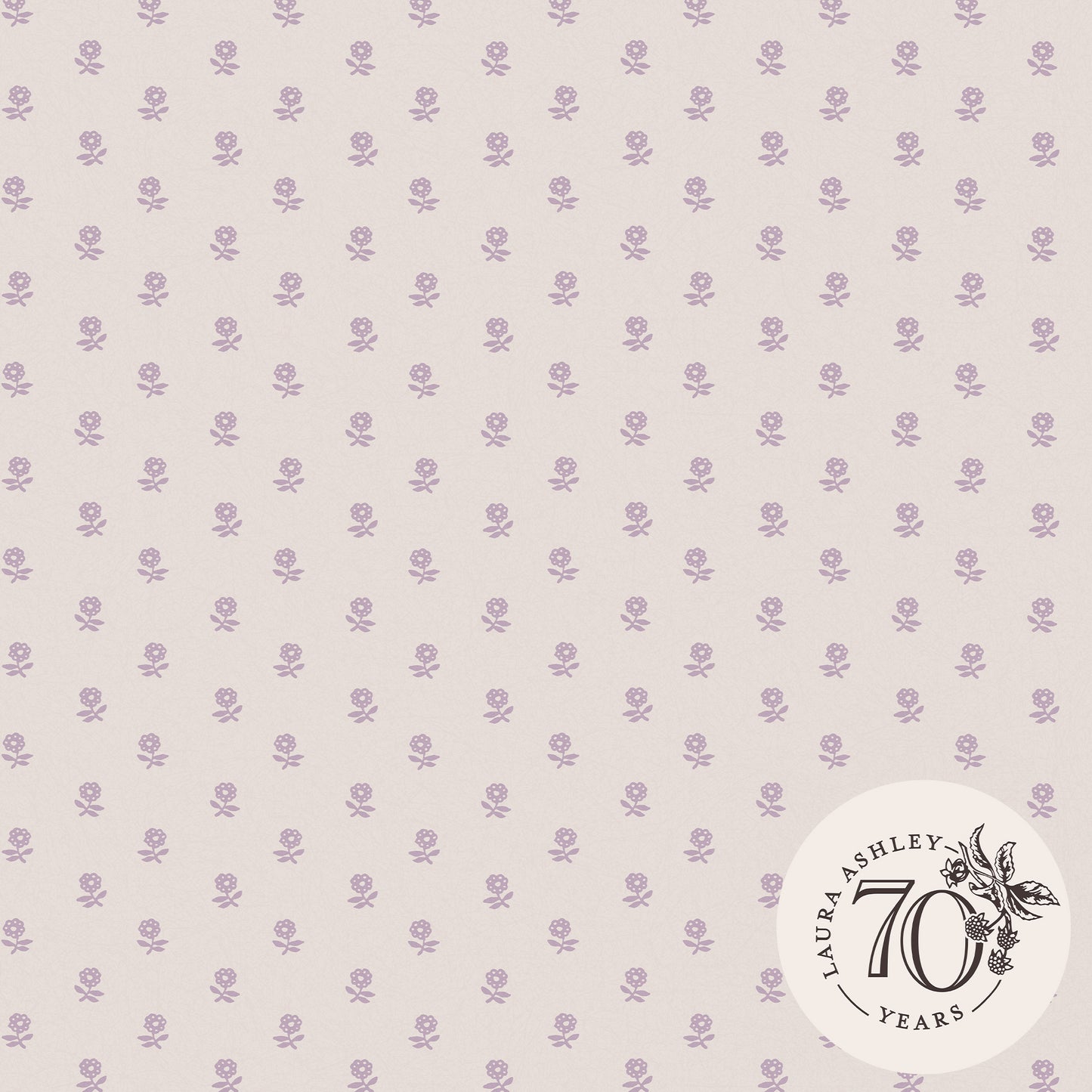 Laura Ashley Daisy Lavender Purple Wallpaper (119864)