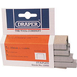 Agrafes robustes Draper (boîte de 1000)