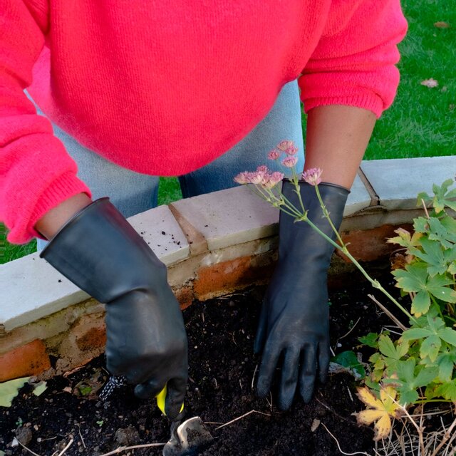 Marigold Outdoor Gardening Gloves