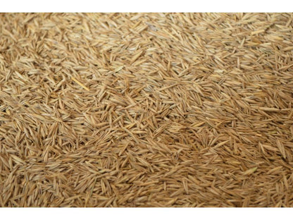 Johnsons Lawn Seed Economy