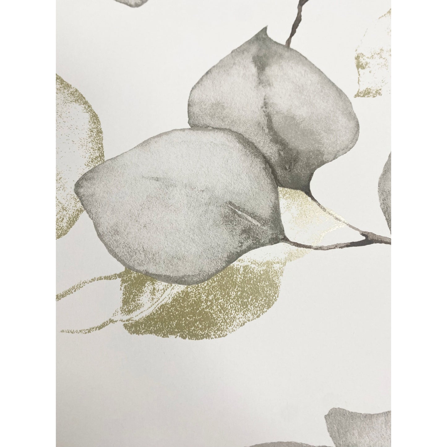 Papier peint naturel Eucalyptus Muriva (210503)