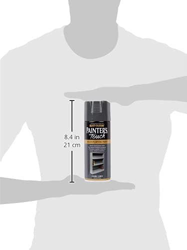 Rustoleum Painter Touch Aerosol Dg/Gls 400ml