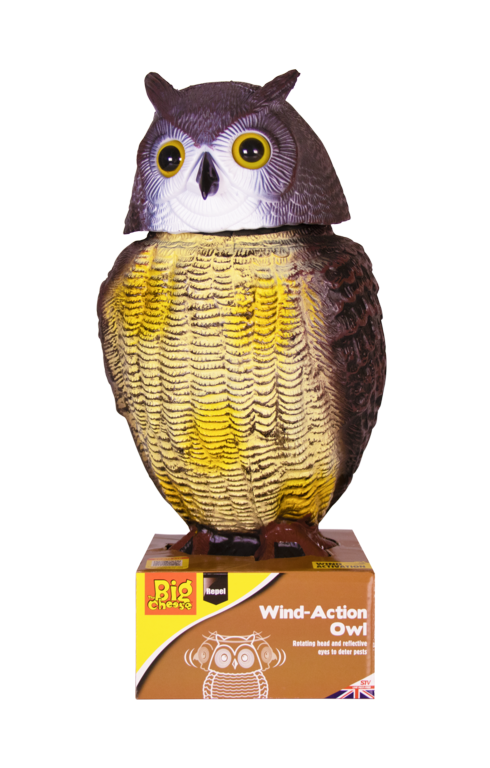 Le hibou d'action du vent Big Cheese