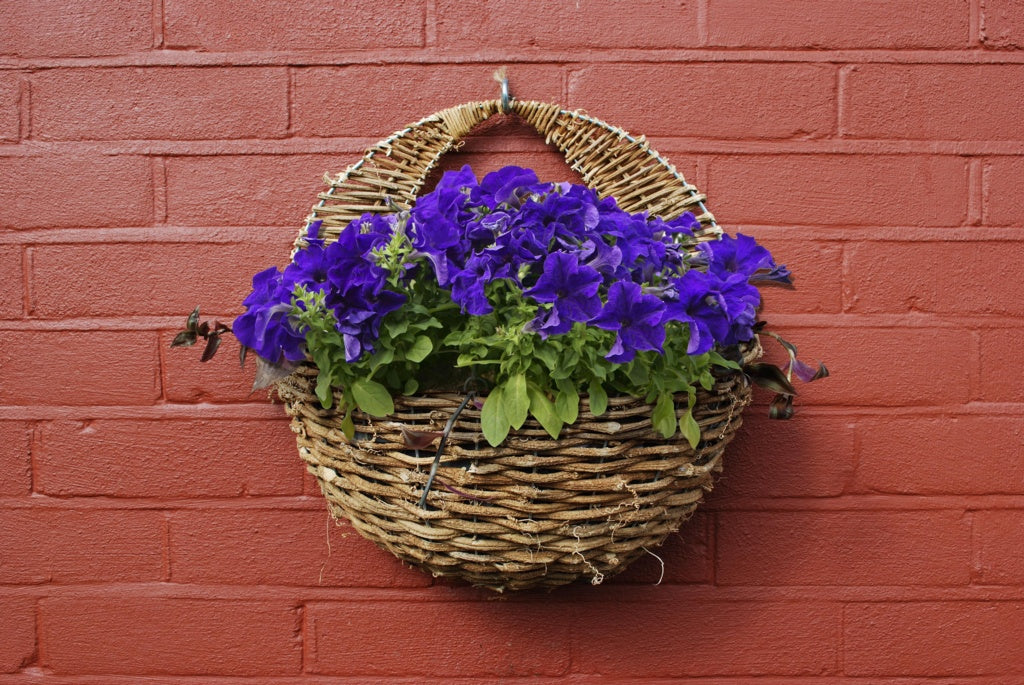 Ambassador Rattan Wall Basket