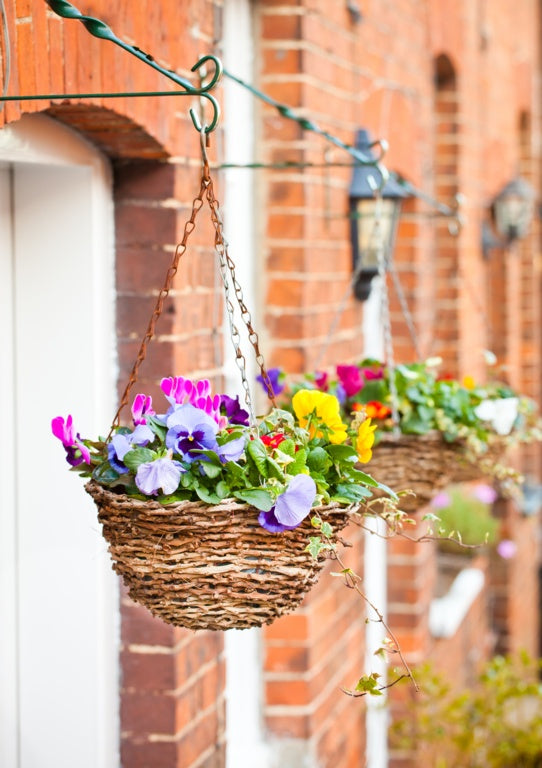 Ambassador Rattan Hanging Basket