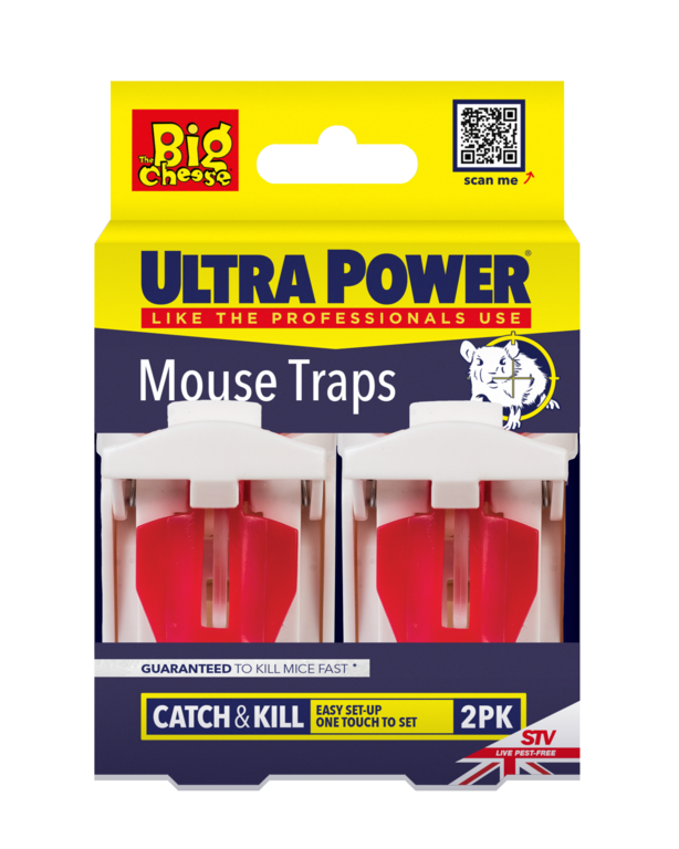 The Big Cheese Ultra Power Pièges à souris Lot de 2