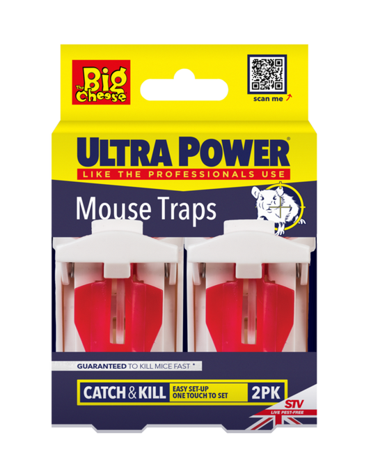 The Big Cheese Ultra Power Pièges à souris Lot de 2