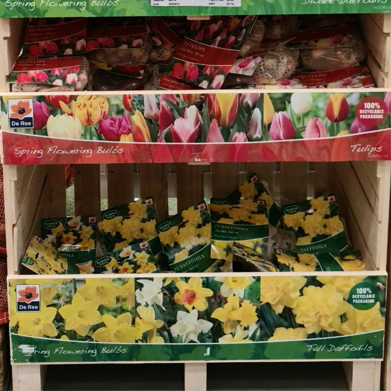 De Ree UK Spring Flowering-Daffodil & Tulip Crate