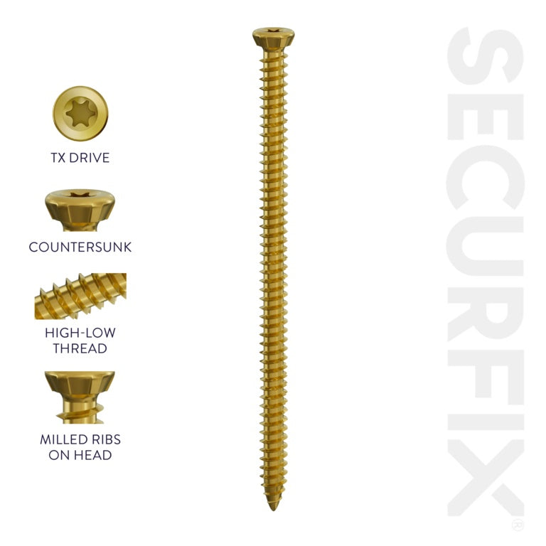 Securfix Concrete Frame Screws