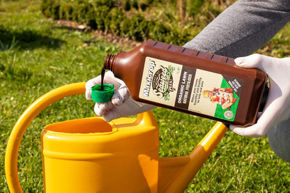 Maxicrop Organic Lawn Feed