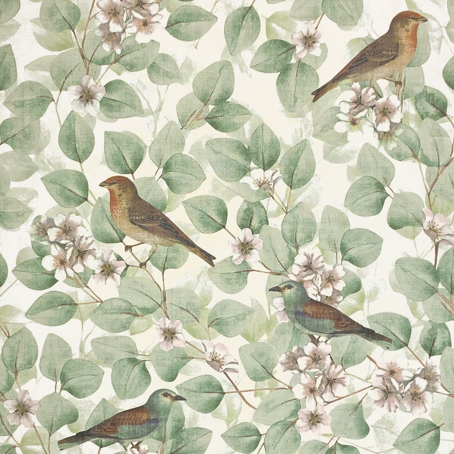 Arthouse Birds & Blossoms Green Wallpaper