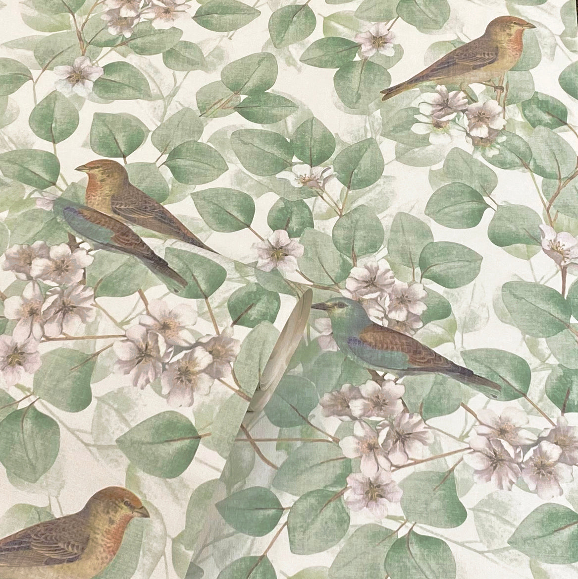 Arthouse Birds & Blossoms Green Wallpaper