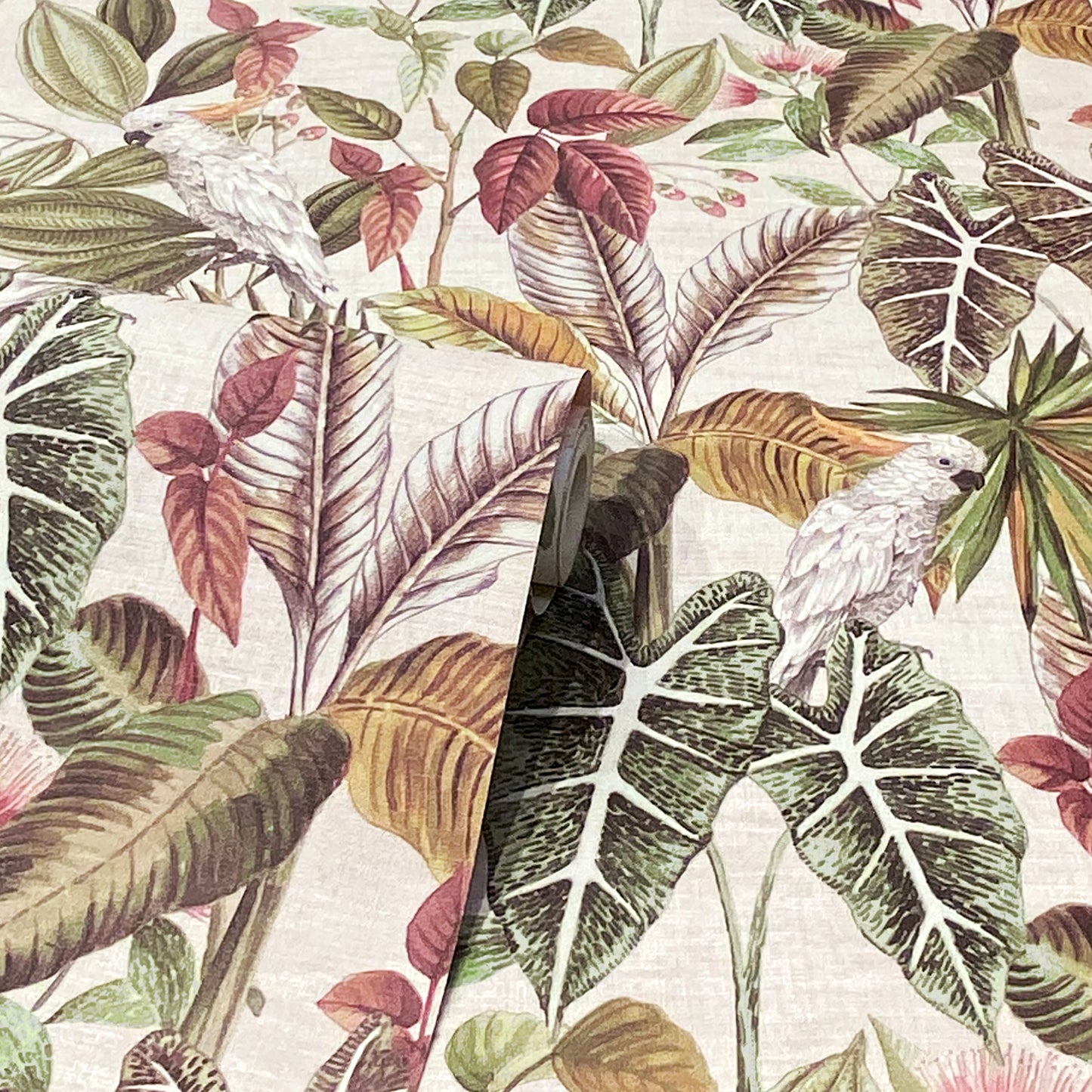 Arthouse Vintage Parrot Multi Wallpaper