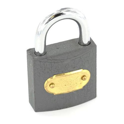 Securit Tricircle Iron Padlock Brass Cylinder