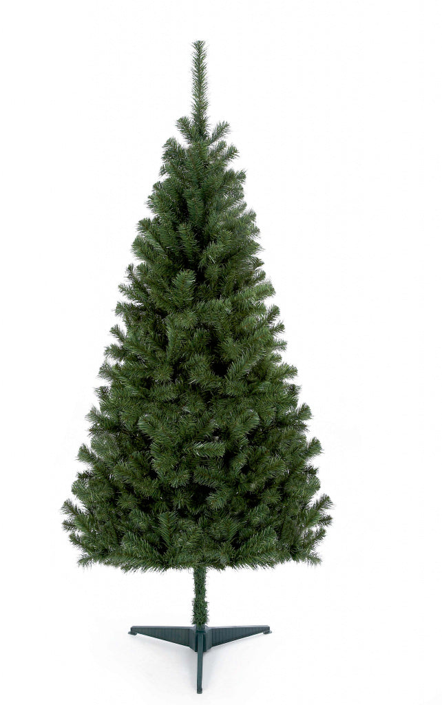 Premier Douglas Fir Tree