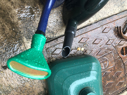 Fine As Rain Seedspray Rose