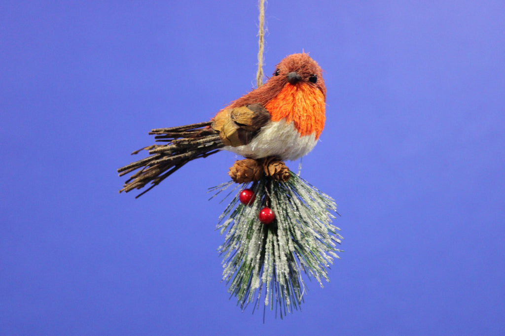 Jingles Robin On Frosted Branch