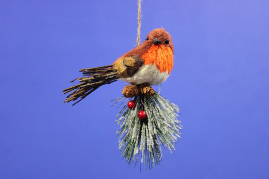 Jingles Robin On Frosted Branch