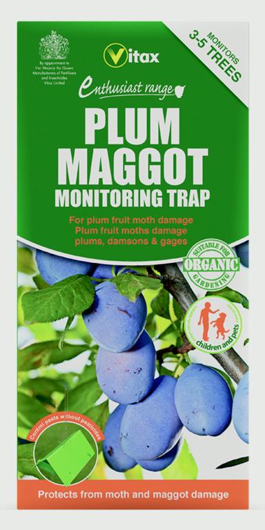 Vitax Plum Maggot Trap