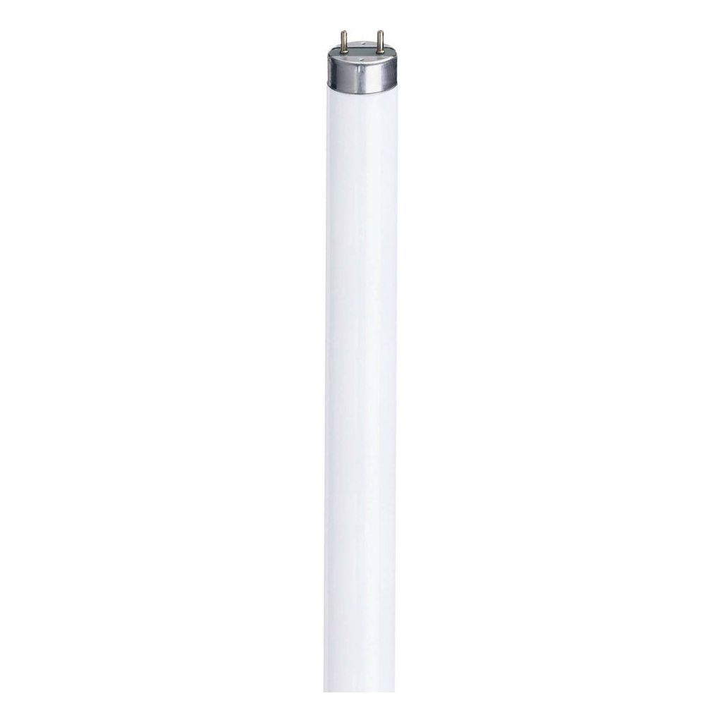 Eveready Triphosphor Tube 864