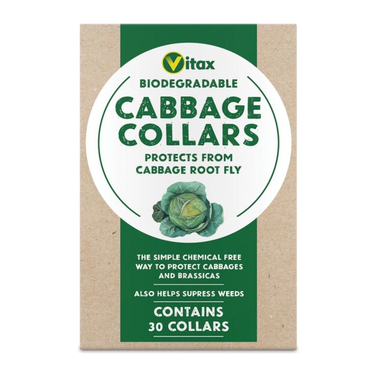 Vitax Cabbage Collars