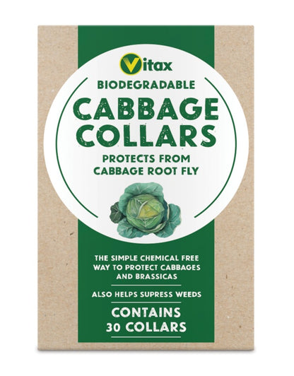 Vitax Cabbage Collars Pack 30