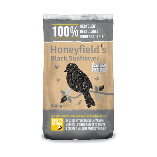 Semilla de girasol negra de Honeyfield