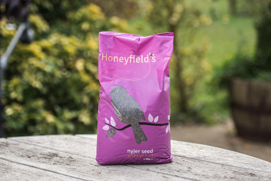 Graine de Nyjer de Honeyfield