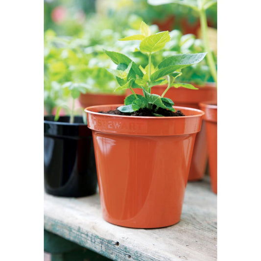 Stewart Flower Pot Terracotta