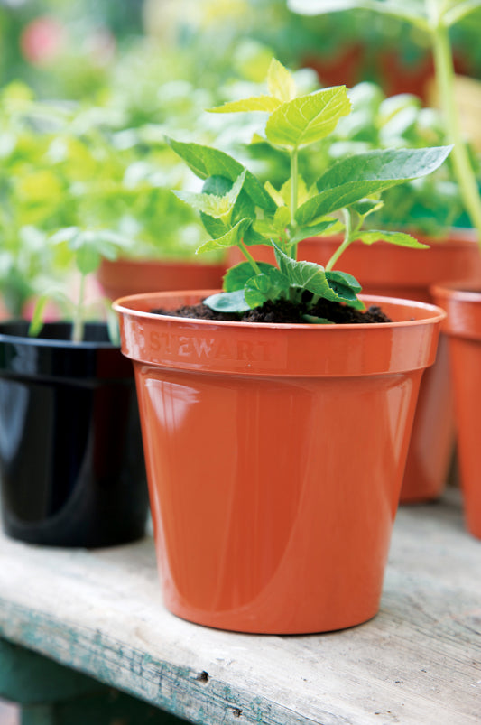 Stewart Flower Pot Terracotta