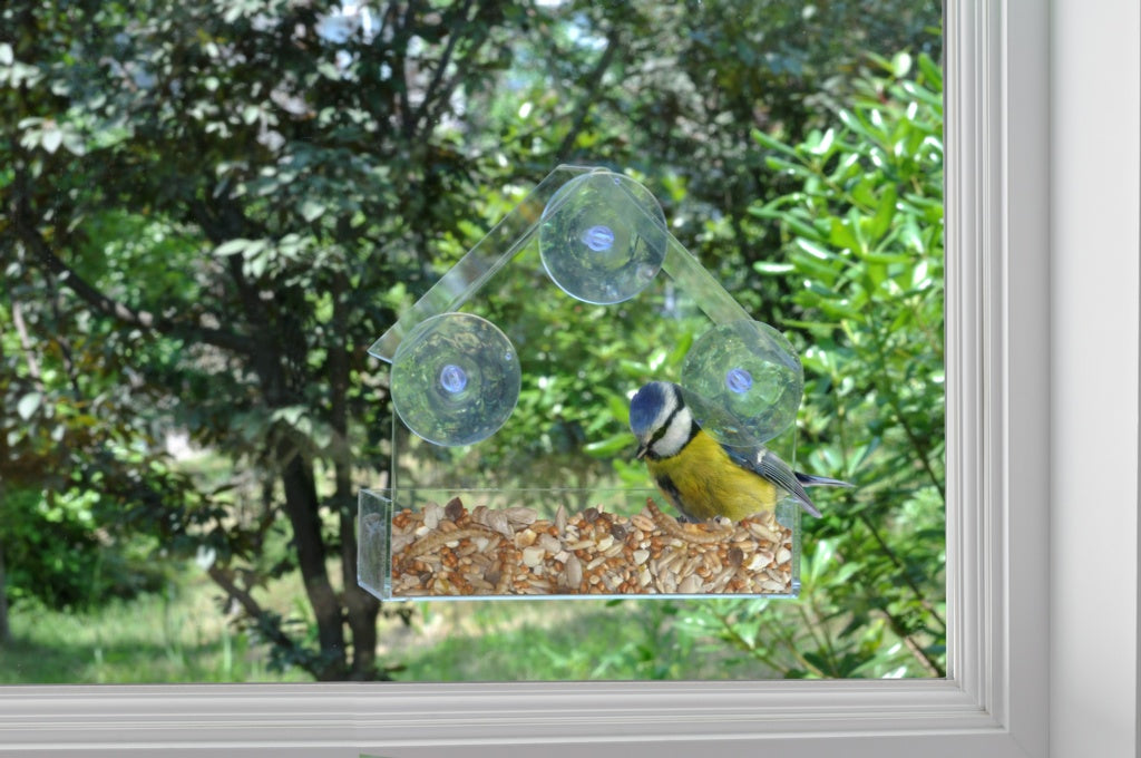 Ambassador Window Bird Feeder