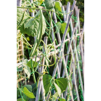 Ambassador Pea & Bean Net