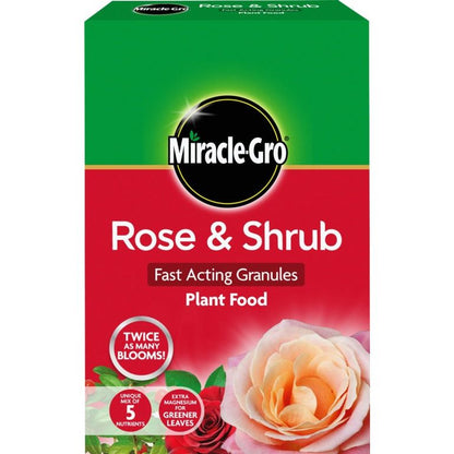 Engrais pour plantes Miracle-Gro® pour roses et arbustes