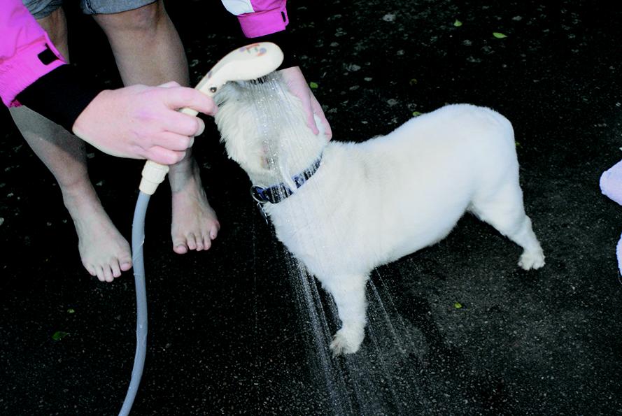 Streetwize Portable Shower 12v