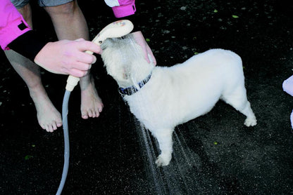 Streetwize Portable Shower 12v