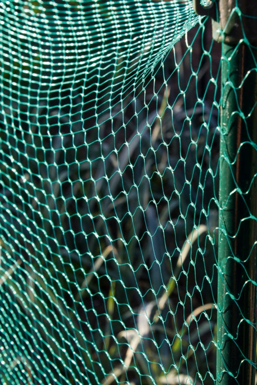 Ambassador Garden Net Green 100m x 2m