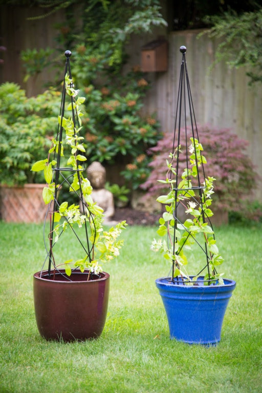 Apollo Garden Obelisk Rounded