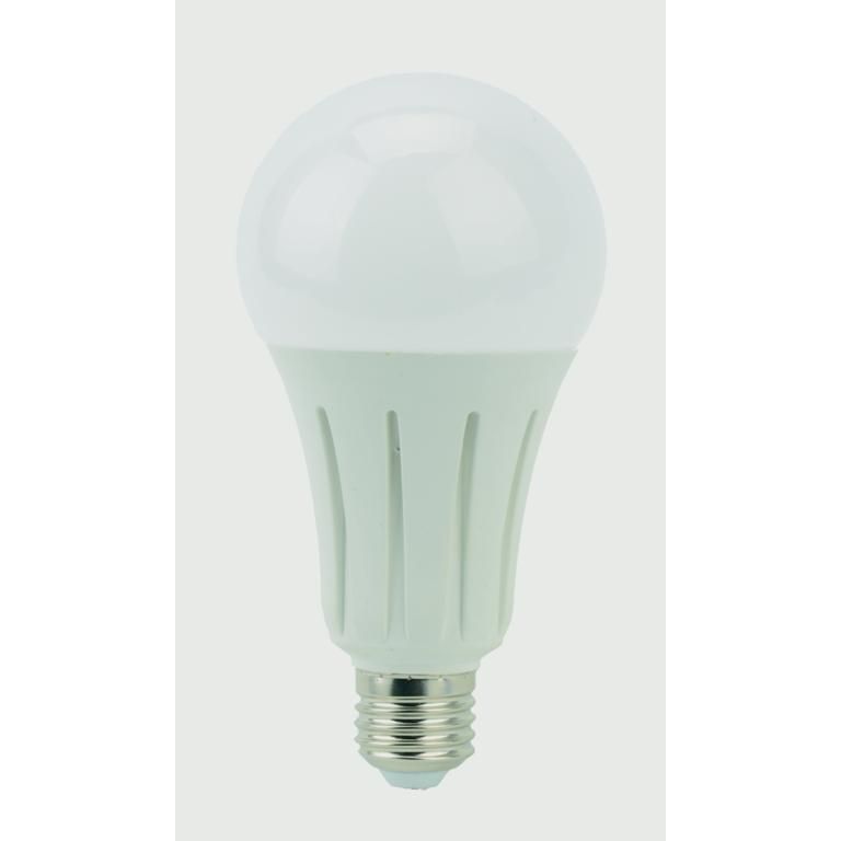 Lyveco ES LED 240v A80 (Gls) Boxed 2452 Lumen