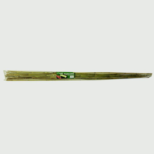 Accesorios de jardín Bastones de Bambú 120cm
