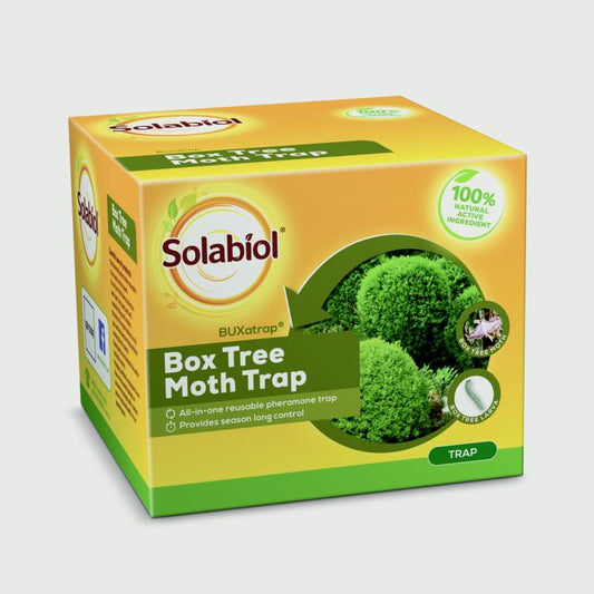 Solabiol Box Tree Moth Trap