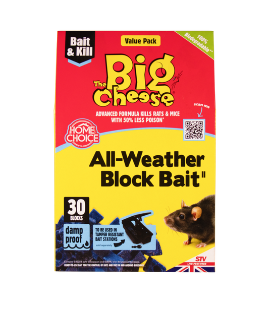 Appât bloc toutes saisons The Big Cheese 30x10g