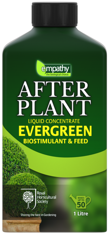 Empathy After Plant Evergreens