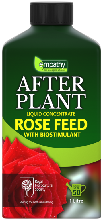 Empathy After Plant Rose Feed