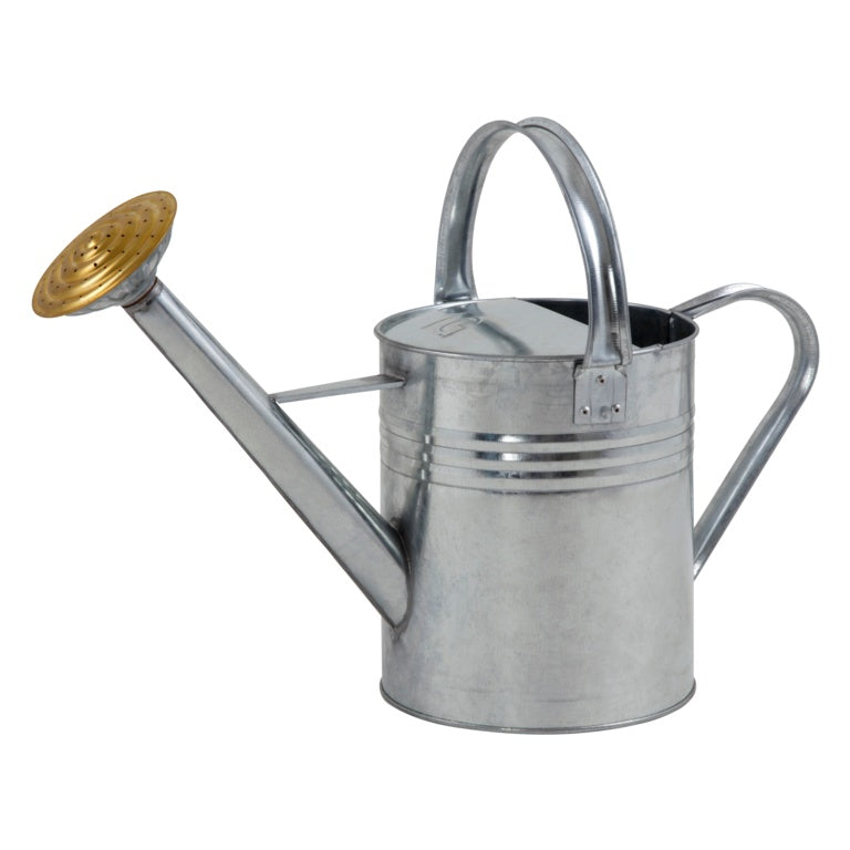 Ambassador Galvanised Watering Can