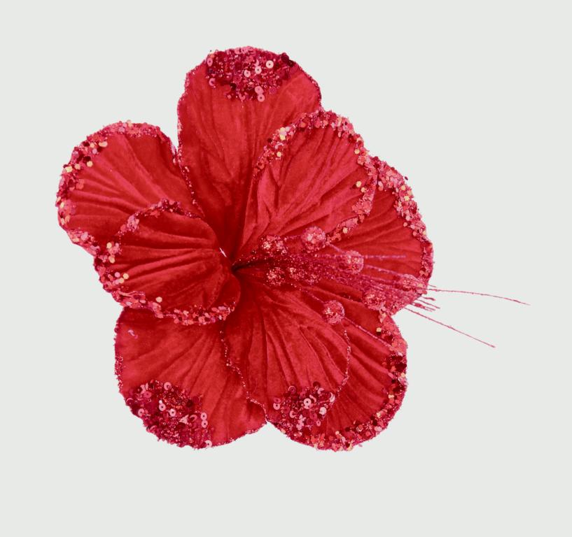 Premier Hibiscus Flower