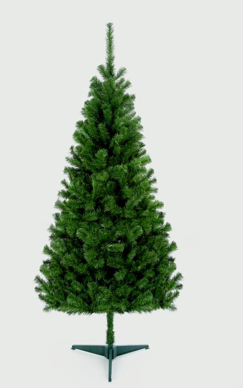 Premier Douglas Fir Tree 1.8m