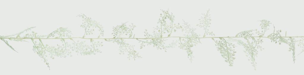 Premier Maidenhair Fern Garland Glitter White