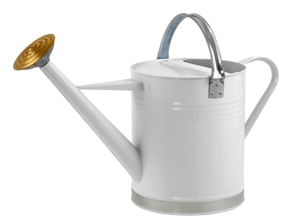 Ambassador Metal Watering Can